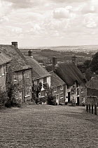 Monochrome image of cottages in Gold Hill, Shaftesbury, Dorset, UK, June 2009