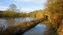 River Avon flooded in autumn, UK, January 2008