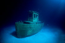 Sunken tug boat on sea bed, (subject of BBC filming sequence for Life series) The Bahamas, Caribbean, August 2007