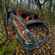 Abandoned burned out Ford Mercury car, with bullet holes in panel. Woodland, Minnesota, USA, October 2009
