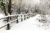 Footpath with fencing alongside woodland, after recent snowfall, Winter, UK, January 2010