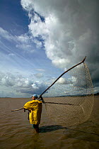 Traditional lave net fisherman (a method dating back at least 1,500 years) fishing for salmon. This Severn Estuary way of life is threatened by proposed barrage. Gloucestershire, England, July 2009, M...