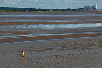 Lave net fisherman fishing for Salmon (Salmo salar) in channel of Severn estary . This is a method dating back at least 1,500 years, and this Severn Estuary way of life is threatened by proposed barra...