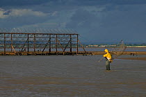 Lave net fisherman fishing for Salmon (Salmo salar) in channel of Severn estary . This is a method dating back at least 1,500 years, and this Severn Estuary way of life is threatened by proposed barra...
