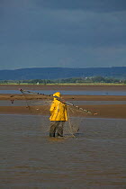 Lave net fisherman fishing for Salmon (Salmo salar) in channel of Severn estary. This is a method dating back at least 1,500 years, and this Severn Estuary way of life is threatened by proposed barrag...