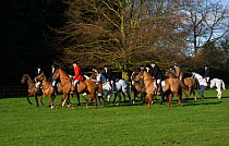 Riders following the Thurlow Hunt, Suffolk, England, United Kingdom. 2009