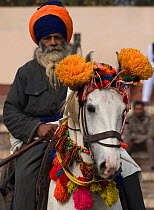 A traditionally dressed Nihang (an armed Sikh soldier) mounted on his Nukra horse, during the Maghi Mela festival, Mukstar, Punjab, India. January 2010