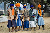The five elders of the Nihangs (an armed Sikh order), traditionally dressed, stand in their camp during the Maghi Mela festival, Mukstar, Punjab, India. January 2010