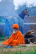 Domestic horse, a traditionally dressed Nihang (an armed Sikh soldier) sits next to his horse at their camp during the Maghi Mela festival, Mukstar, Punjab, India. January 2010