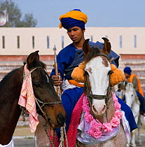 A traditionally dressed Nihang (an armed Sikh soldier) mounted on his horse within another horse during the Maghi Mela festival, Mukstar, Punjab, India. January 2010
