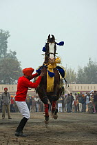 A Sikh man makes his Nukra horse dance to the rhythm of a drum during the Maghi Mela festival, Muktsar, Punjab, India. January 2010