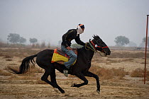 Rider galloping on his horse in the against-the-clock race during the Maghi Mela festival, Muktsar, Punjab, India. January 2010