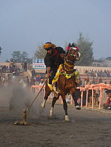 A traditionally dressed Nihang (an armed Sikh soldier) riding his horse competing in a tent pegging competition during the Maghi Mela festival, Mukstar, Punjab, India, January 2010