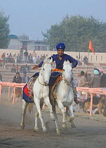 A traditionally dressed Nihang (an armed Sikh soldier) galloping with two Nukra horses during the Maghi Mela festival, Mukstar, Punjab, India, January 2010