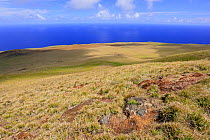 Grasslands on the Maunga Terevaka volcano summit and North Coast, Easter Island, Pacific ocean, November 2004
