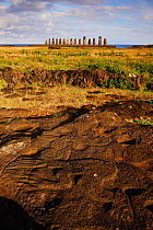 Petrogyphs of Tangata Manu (Bird Man) at Papa Tataku Poki with Ahu Tongariki Moai statues in the background, Easter Island, Pacific ocean, November 2004