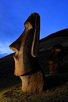 Moai stone statue at dusk on the slopes of the quarry at Rano Raraku volcano, Easter Island Pacific ocean, November 2004