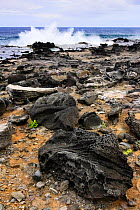 Rocks formed from lava flows on the southwest coast of Easter Island Pacific ocean, November 2004