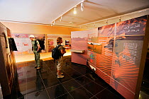 Visitors viewing exhibition at the Visitor Information Centre, Wadi Rum protected Area, Jordan, April 2009