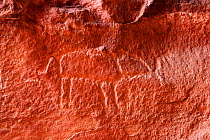 Petroglyph of an Elephant at Khaz'ali Canyon, Wadi Rum Protected Area, Jordan, April 2009