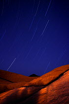 Star trails at night in Kharrobh Wilderness Zone, Wadi Rum, Jordan, April 2009