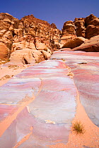 Colourful rocks below cliffs in Nuqra desert canyon, Wadi Rum Wilderness Zone, Jordan, April 2009