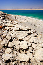 Salt deposits in the Dead Sea coast near Wadi Mujib, Jordan, April 2009
