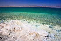 Salt deposits on the Dead Sea coast near Wadi Mujib, Jordan, April 2009