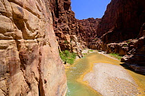 River canyon in Wadi Mujib Nature Reserve on the Dead Sea coast, Jordan, April 2009