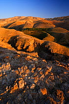 Arid desert slopes of Mount Nebo with creeks, Jordan, April 2009