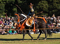 A traditionally dressed samurai (warrior) from the Takeda School of Horseback Archery with bows and arrows parades on a horse, during a Yabusame (Japanese mounted archery), at Meiji Jingu Shrine, Toky...
