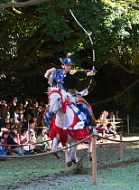 A traditionally dressed samurai (warrior) from the Takeda School of Horseback Archery and mounted on a galloping horse aims an arrow at one of the three targets, during a Yabusame (Japanese mounted ar...