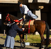 A samurai (warrior) from the Takeda School of Horseback Archery mounts his horse, during the training prior to a Yabusame (Japanese mounted archery), at Meiji Jingu Shrine, Tokyo, Tokyo Prefecture, Ja...