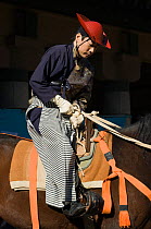 A samurai (warrior) from the Takeda School of Horseback Archery tightens his horse's girth, during the training prior to a Yabusame (Japanese mounted archery), at Meiji Jingu Shrine, Tokyo, Tokyo Pref...