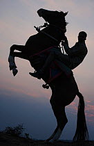 Silhouette of an Indian rider and his Kathiawari mare rearing at sunset (backlit), Virnagar, Gujarat, India. 2010