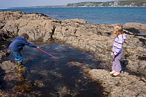Young boy aged 7, and young girl aged 5, playing in rockpool, with a fishing net, Devon, UK  Model released