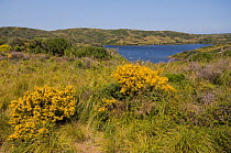 S'Albufera National park, Menorca, Balearic Islands, Spain May 2009