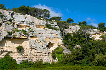 Wooded limestone cliffs of Barranca de Santa Galdana, Menorca, Balearic Islands, Spain May 2009
