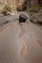 Aboriginal ritual channel, San Blas natural reserve, Tenerife, Canary Islands, Spain. April 2010