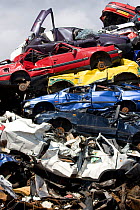 Pile of scrap cars prior to being recycled. England, UK July 2009