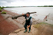 Putcher fisherman (John Powell) carrying drift wood deposited by Severn bore. The traditional way of fishing here is potentially threatened by the proposed tidal barrage. Gloucestershire, England, UK...