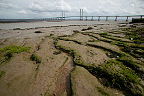 Severn estuary at low tide, with view of second bridge crossing. Gloucestershire, England, UK, April 2010