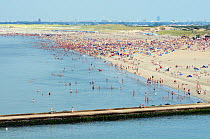Aerial view of busy beach crowded with people on a hot August weekend, Hook of Holland, Netherlands
