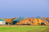Biogas plant with maize silage being carried by tractor from silage heap to fermenting chambers for methane production. Cornau, near Vechta, Lower Saxony, Germany.