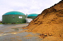 Biogas plant with fermenting chambers for methane production from maize silage and silage heap in foreground. Cornau, near Vechta, Lower Saxony, Germany.