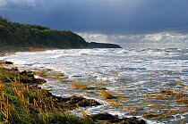 Baltic sea shore and cliffs on a stormy day at Gellort, Cape Arkona, Rugen island. Germany's most northerly point. Mecklenberg-Vorpommern, Germany.