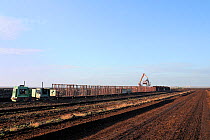 Narrow gauge railway wagons being loaded with dried peat turves. Goldenstedt moor, near Vechta, Lower Saxony, Germany.