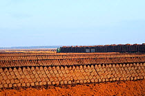 Narrow gauge railway locomotive hauling wagons loaded with dried peat turves, passing rows of newly cut turves. Goldenstedt moor, near Vechta, Lower Saxony, Germany.