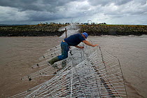 Fisherman removing seaweed from putcher baskets. These baskets are used as a traditional method to catch Atlantic salmon. This way of life is potentially threatened by proposed tidal barrage. River Se...