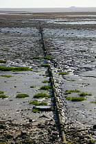 Old sewage pipe running across mud flats of Severn Estuary, Gloucestershire, England, UK April 2010